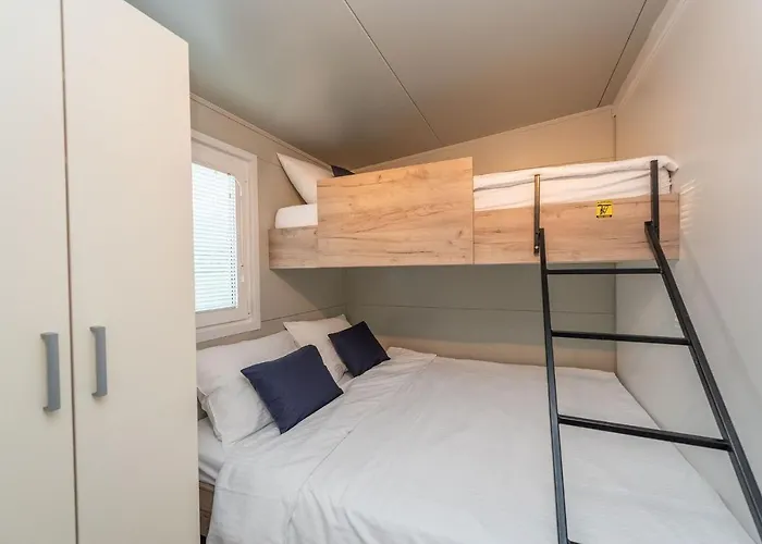 Mobile Pecten Exclusive 1