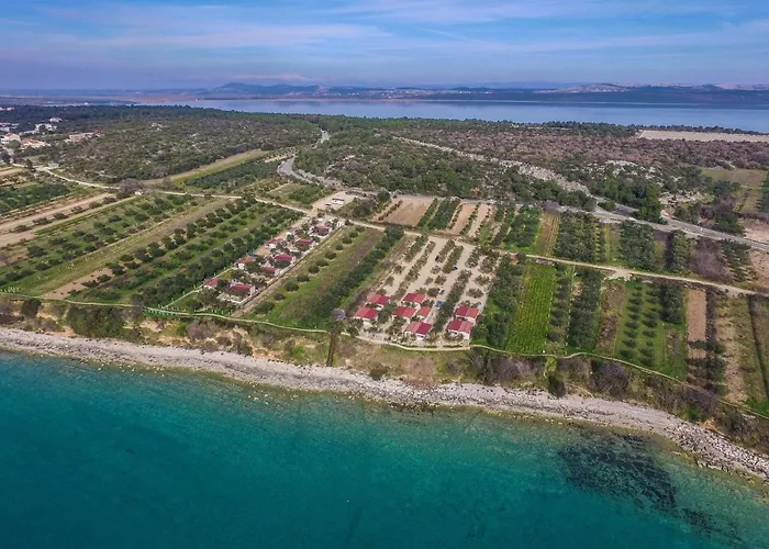 Vakantiehuis Mobile Pecten Exclusive 1